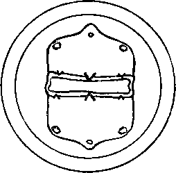 Heliconema heliconema Travassos, 1919