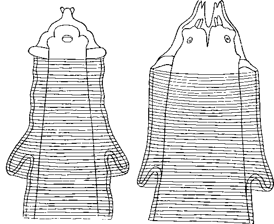 Physaloptera elegantissima Stossich, 1902 (по Стоссичу, 1902)