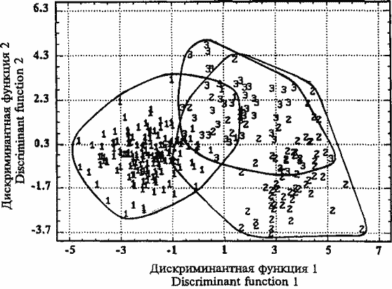 Дискриминантный анализ внутривидовых группировок Sthenoteuthis oualaniensis