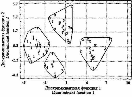Дискриминантный анализ гладиусов кальмаров трех группировок S. oualaniensis (1-3) и S. pteropus (4)