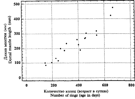 Kondakovia longimana; зависимость длины мантии от возраста кальмаров