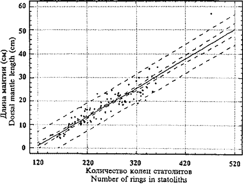 Moroteuthis ingens; зависимость (с 95%-ным доверительным интервалом) длины мантии от общего числа колец роста на статолитах Moroteuthis ingens; зависимость (с 95%-ным доверительным интервалом) длины мантии от общего числа колец роста на статолитах