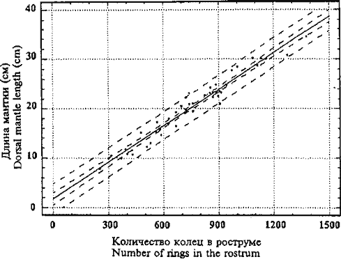 Moroteuthis ingens, зависимость (с 95%-ным доверительным интервалом) длины мантии (см) от общего числа слоев нарастания рострума гладиуса Moroteuthis ingens, зависимость (с 95%-ным доверительным интервалом) длины мантии (см) от общего числа слоев нарастания рострума гладиуса