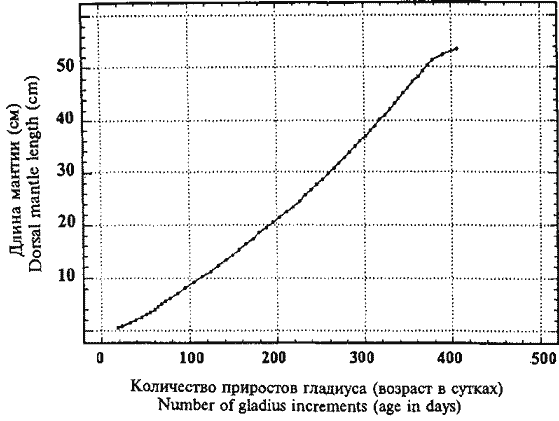 Кривая группового линейного роста крупноразмерных самок Sthenoteuthis oualaniensis, рассчитанная по гладиусам Кривая группового линейного роста крупноразмерных самок Sthenoteuthis oualaniensis, рассчитанная по гладиусам