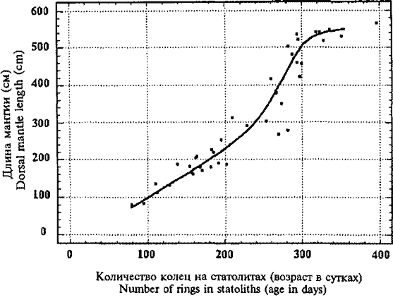 Кривая группового линейного роста крупноразмерных самок Sthenoteuthis oualaniensis, рассчитанная по статолитам Кривая группового линейного роста крупноразмерных самок Sthenoteuthis oualaniensis, рассчитанная по статолитам