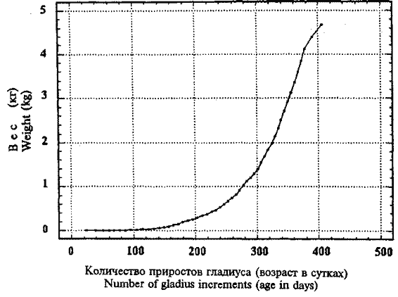 Кривая весового роста крупноразмерных самок Sthenoteuthis oualaniensis, рассчитанная по гладиусам Кривая весового роста крупноразмерных самок Sthenoteuthis oualaniensis, рассчитанная по гладиусам