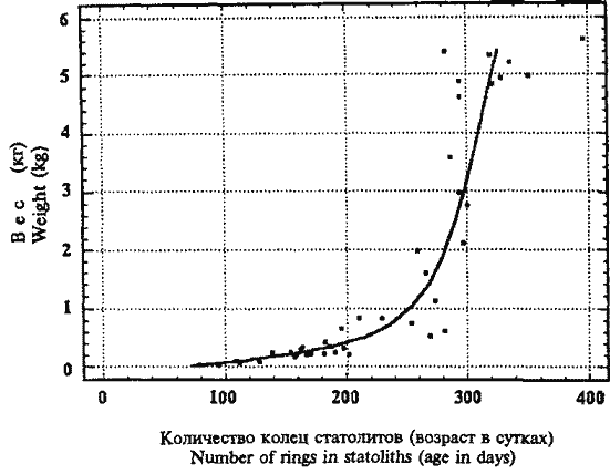 Кривая весового роста крупноразмерных самок Sthenoteuthis oualaniensis, рассчитанная по статолитам Кривая весового роста крупноразмерных самок Sthenoteuthis oualaniensis, рассчитанная по статолитам