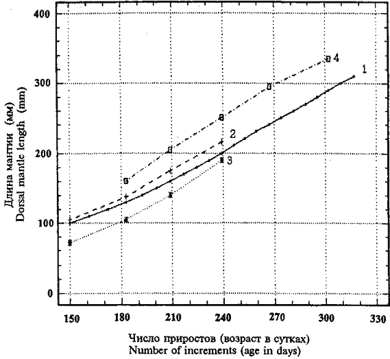 Кривая линейного роста кальмаров Illex argentinus, рассчитанная по гладиусам, в сравнении с ранее полученными оценками по статолитам Кривая линейного роста кальмаров Illex argentinus, рассчитанная по гладиусам, в сравнении с ранее полученными оценками по статолитам