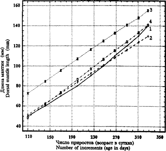 Illex coindetii; кривая линейного группового роста кальмаров из Средиземного моря, рассчитанная по гладиусам, в сравнении с кривыми, полученными по статолитам [Sanchez, 1990) Illex coindetii; кривая линейного группового роста кальмаров из Средиземного моря, рассчитанная по гладиусам, в сравнении с кривыми, полученными по статолитам [Sanchez, 1990)
