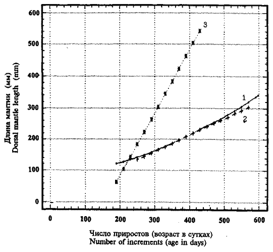 Todarodes sagittatus; кривые группового линейного роста, построенные по данным гладиусов (1, 2) и статолитов (3) Todarodes sagittatus; кривые группового линейного роста, построенные по данным гладиусов (1, 2) и статолитов (3)