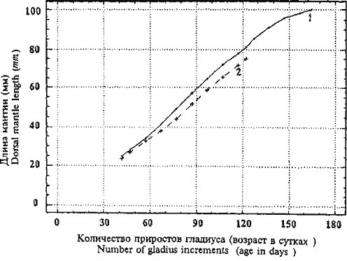 Hyaloteuthis pelagica; кривые группового линейного роста самок (1) и самцов (2), восстановленные по гладиусам Hyaloteuthis pelagica; кривые группового линейного роста самок (1) и самцов (2), восстановленные по гладиусам