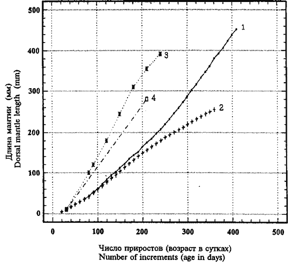 Dosidicus gigas; кривые линейного группового роста кальмаров из района Перуанской котловины, построенные по данным гладиусов и статолитов Dosidicus gigas; кривые линейного группового роста кальмаров из района Перуанской котловины, построенные по данным гладиусов и статолитов