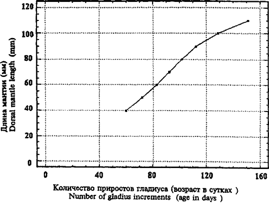 Sthenoteuthis oualaniensis; кривая группового линейного роста кальмаров экваториальной группировки Sthenoteuthis oualaniensis; кривая группового линейного роста кальмаров экваториальной группировки