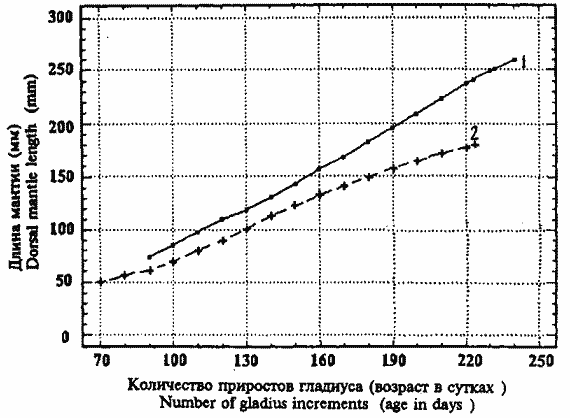 Sthenoteuthis oualaniensis (тропическая группировка); кривые группового линейного роста самок (1) и самцов (2), рассчитанные по гладиусам Sthenoteuthis oualaniensis (тропическая группировка); кривые группового линейного роста самок (1) и самцов (2), рассчитанные по гладиусам