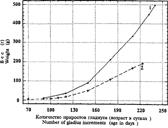 Sthenoteuthis oualaniensis; кривые весового роста кальмаров тропической группировки Sthenoteuthis oualaniensis; кривые весового роста кальмаров тропической группировки