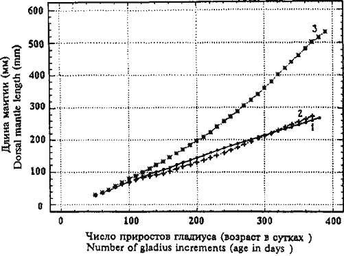 Sthenoteuthis oualaniensis (красноморско-аравийская группировка); кривые группового линейного роста Sthenoteuthis oualaniensis (красноморско-аравийская группировка); кривые группового линейного роста