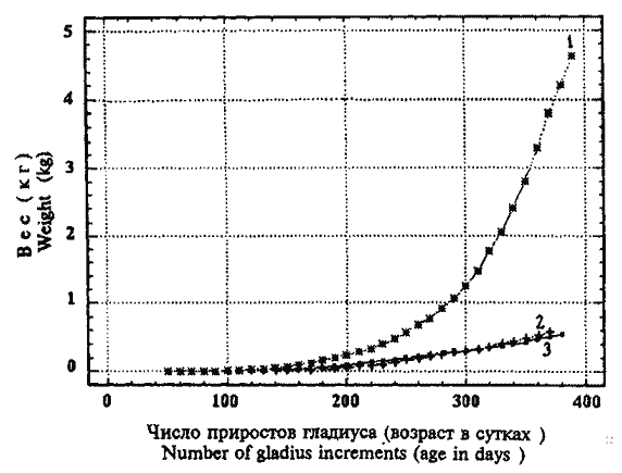 Кривые весового роста Sthenoteuthis oualaniensis (красноморско-аравийская группировка) Кривые весового роста Sthenoteuthis oualaniensis (красноморско-аравийская группировка)