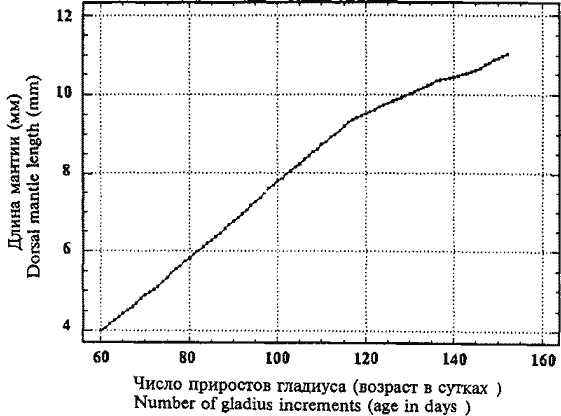 Sthenoteuthis oualaniensis (экваториальная группировка); кривая индивидуального роста нерестовой самки (ДМ 11,0 см) Sthenoteuthis oualaniensis (экваториальная группировка); кривая индивидуального роста нерестовой самки (ДМ 11,0 см)