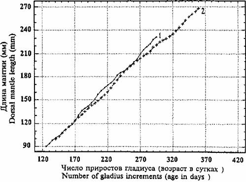 Sthenoteuthis oualaniensis (красноморско-аравийская группировка); кривые индивидуального линейного роста двух зрелых самцов