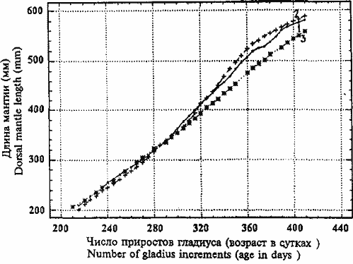 Sthenoteuthis oualaniensis (красноморско-аравийская группировка); кривые индивидуального роста двух зрелых самок максимальных размеров Sthenoteuthis oualaniensis (красноморско-аравийская группировка); кривые индивидуального роста двух зрелых самок максимальных размеров