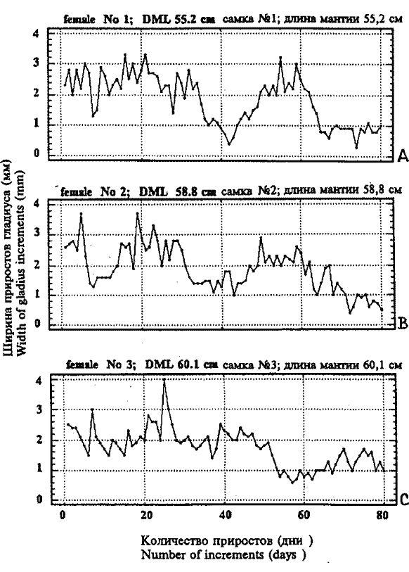 Sthenoteuthis oualaniensis (красноморско-аравийская группировка); индивидуальные кривые абсолютных суточных приростов длины мантии трех крупных самок в нерестовом достоянии Sthenoteuthis oualaniensis (красноморско-аравийская группировка); индивидуальные кривые абсолютных суточных приростов длины мантии трех крупных самок в нерестовом достоянии