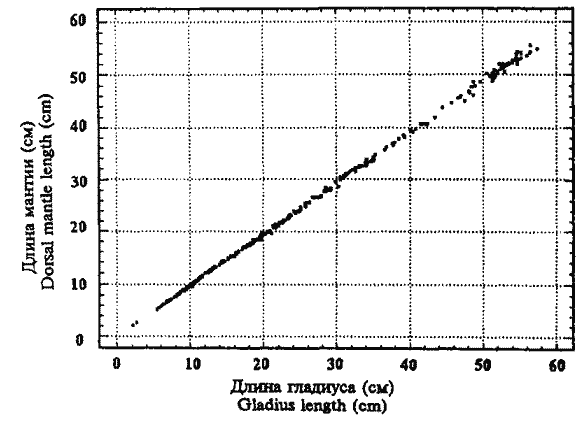 Sthenoteuthis oualaniensis (сем. Ommastrephidae); зависимость дорсальной длины мантии (DM) от длины гладиуса (GL)