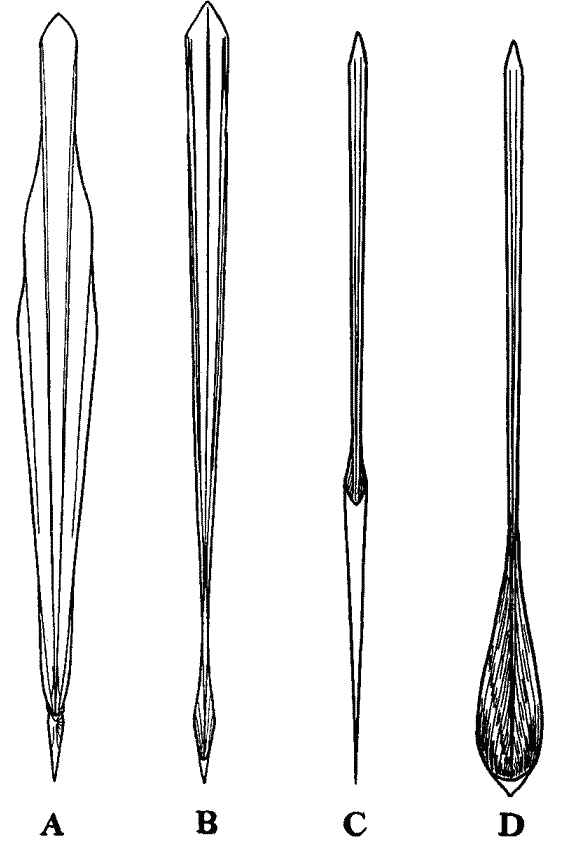 Морфологические подтипы гладиусов эгопсид Морфологические подтипы гладиусов эгопсид