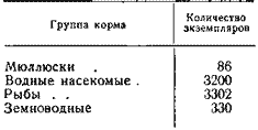 Сезонный рацион колпицы