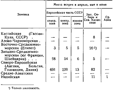Гнездовые районы речных уток, красноголового и хохлатого нырков, окольцованных на зимовках (преимущественно за границей)