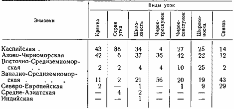 Распределение по местам зимовок западно-сибирской популяции речных уток, окольцованных на линьке в Астраханском заповеднике (в %)