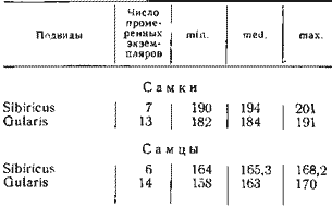 Длина крыла Accipiter virgatus в мм