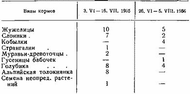 Питание кроншнепов-малюток