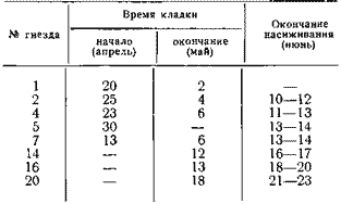 Сроки размножения лебедей (1955 г.)