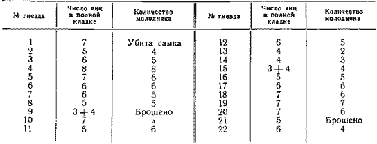 Число яиц в кладках лебедя-шипуна и выход молодняка