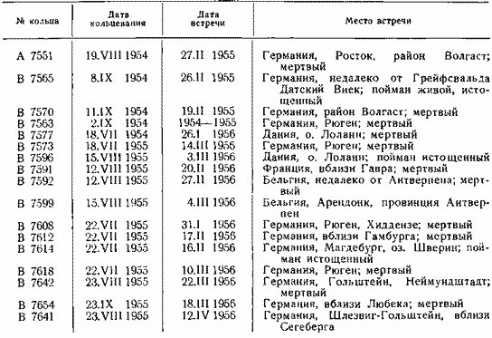 Результаты кольцевания лебедей