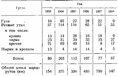 Количество птиц, встреченных весной на 10 км маршрута