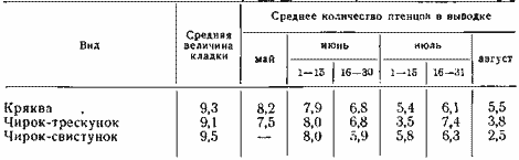 Величина кладки и количество птенцов в выводках кряквы и чирков