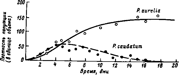 Конкуренция между двумя видами Paramecium