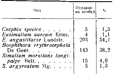 Соотношение численности кровососущих мошек в Кулундинской степи (с. Карасук, 1962 г.) Соотношение численности кровососущих мошек в Кулундинской степи (с. Карасук, 1962 г.)