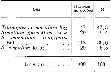  Соотношение численности кровососущих мошек в предгорных районах (с. Маслянино, 1959 г.)