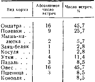 Питание лисиц на оз. Пигуль Чановского района Новосибирской области