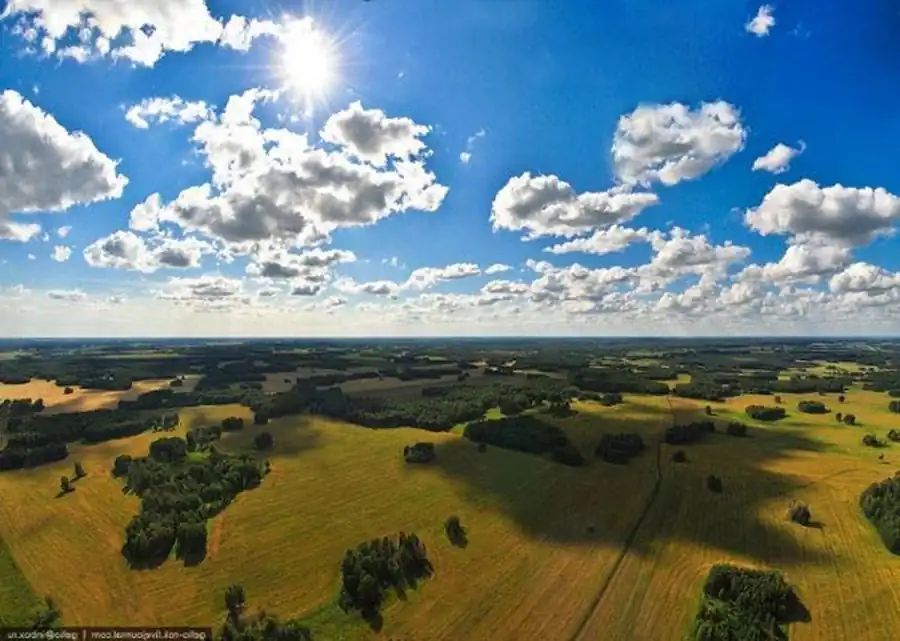 Эпизоотологичеокие и эпидемиологические проявления Эпизоотологичеокие и эпидемиологические проявления