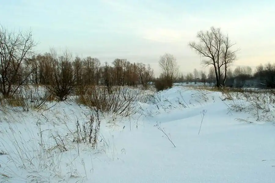 Природные очаги туляремии Природные очаги туляремии