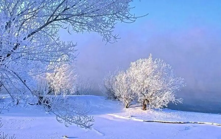 Местные варианты болотно-озерно-речных очагов и районирование территории Местные варианты болотно-озерно-речных очагов и районирование территории