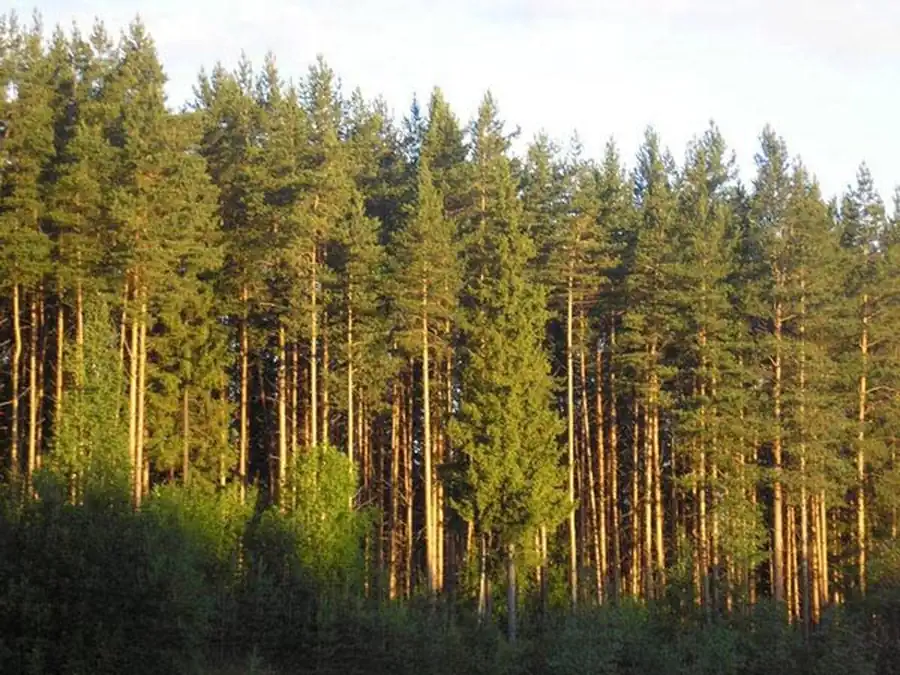 Особенности регионального ландшафтно-эпидемиологического районирования Особенности регионального ландшафтно-эпидемиологического районирования