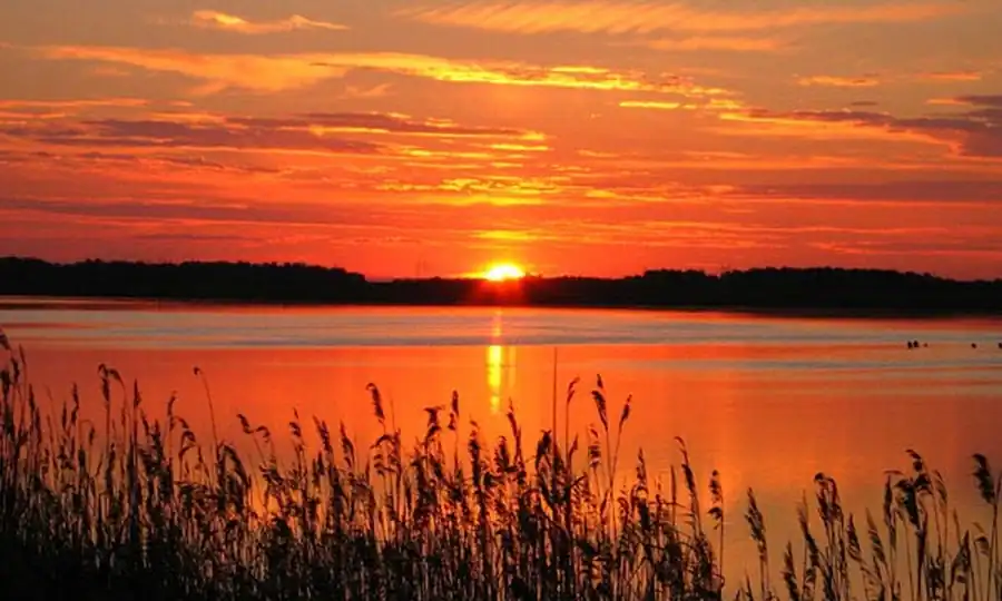 Основные биологические индикаторы при ландшафтно-эпидемиологическом районировании территории Основные биологические индикаторы при ландшафтно-эпидемиологическом районировании территории