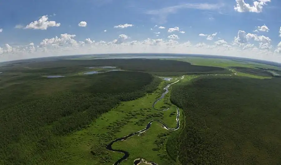 Изучение условий существования и методов оздоровления природных очагов инфекций Изучение условий существования и методов оздоровления природных очагов инфекций