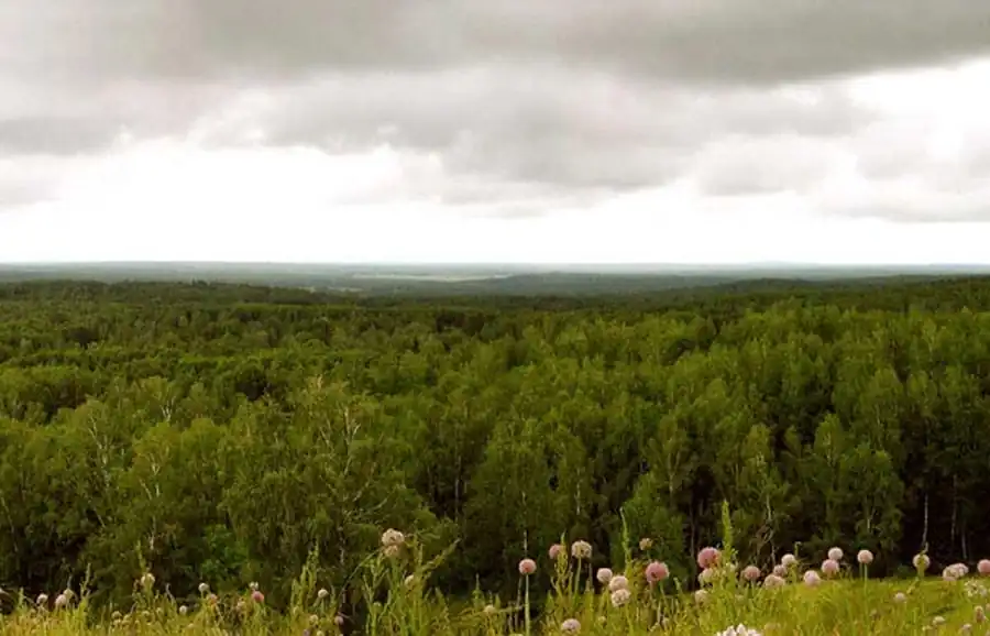 Признаки ландшафтно-эпидемиологического района и участка Признаки ландшафтно-эпидемиологического района и участка