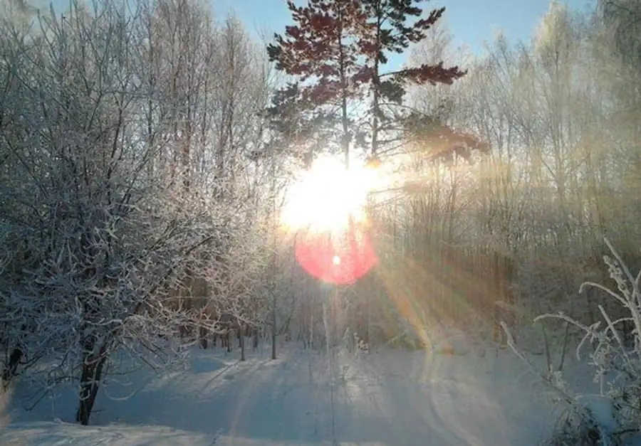 Зоолого-эпизоотологическая основа при ландшафтно-эпидемиологическом районировании территории Зоолого-эпизоотологическая основа при ландшафтно-эпидемиологическом районировании территории