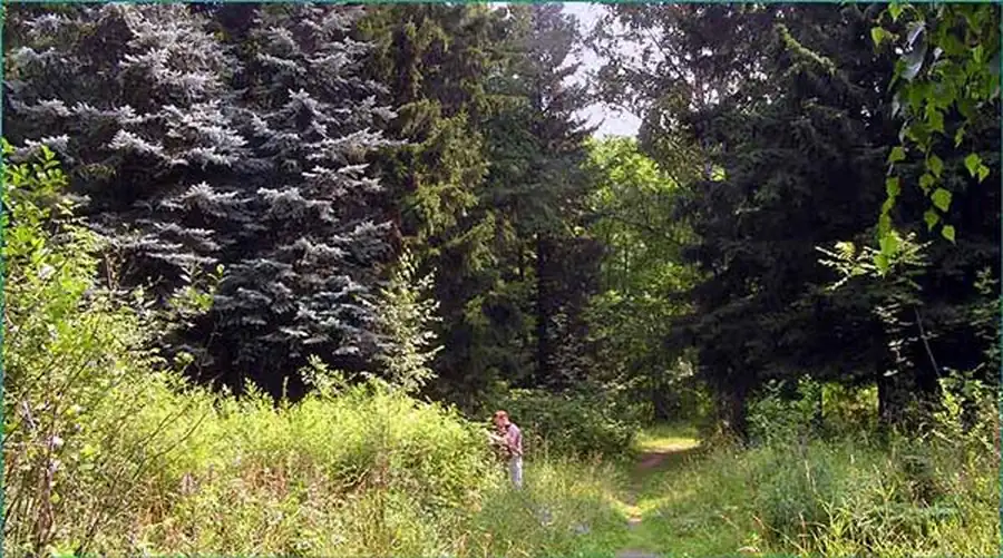 Различные по эпизоотологическим показателям территорий Различные по эпизоотологическим показателям территорий